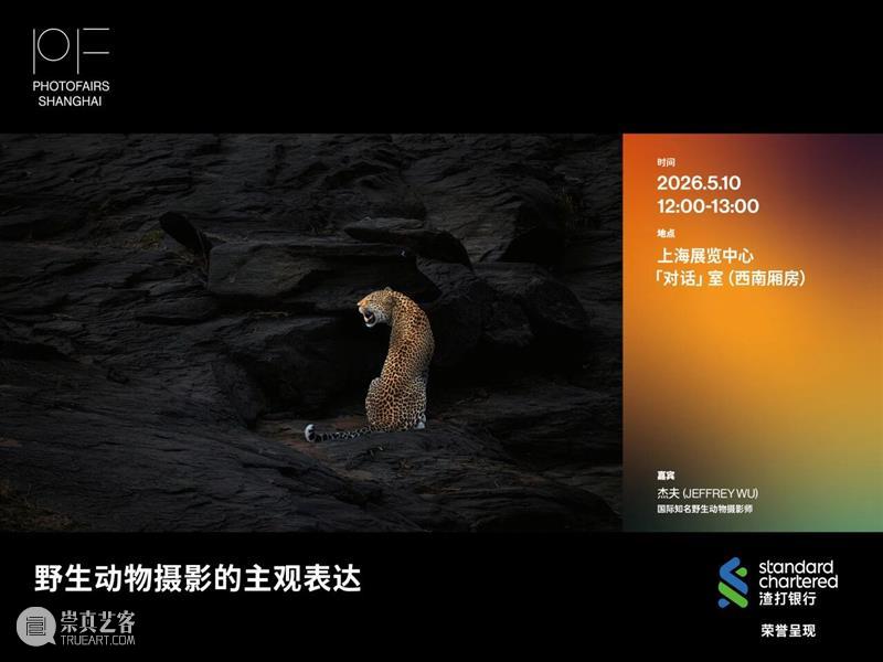 影像上海艺术博览会 | 「对话」系列讲座 CONVERSATIONS 5.9-10 崇真艺客