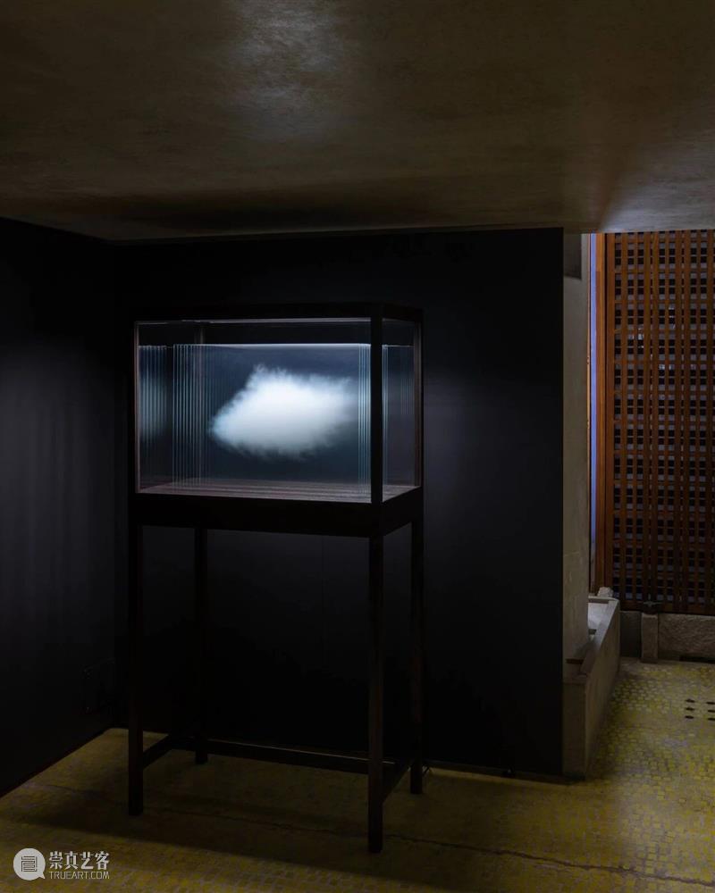 威尼斯双年展｜雷安德罗·埃利希将奥利维蒂展厅打造成一部“不存在生命体”的百科全书 崇真艺客