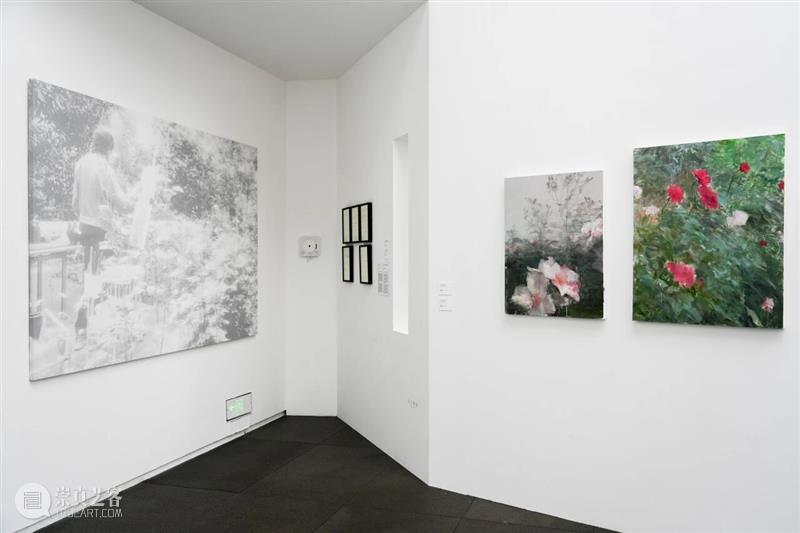 展开说 | 对话何多苓：沉浸与创造——在音乐与绘画间的独白 崇真艺客