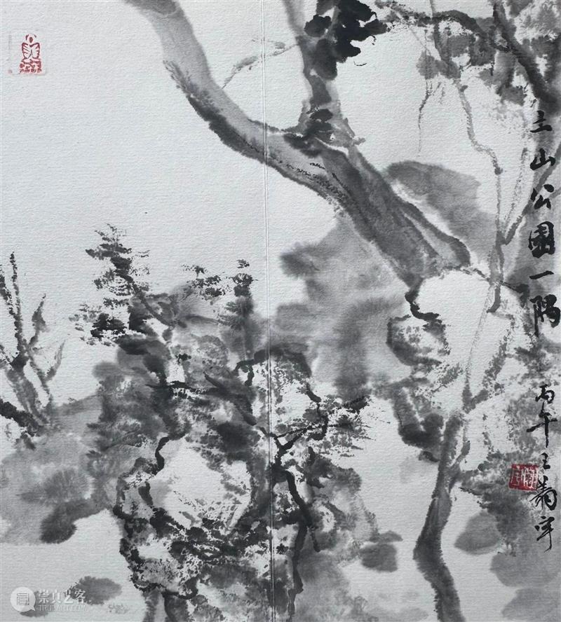 南京书画院金陵四十八景（选）写生纪实 崇真艺客