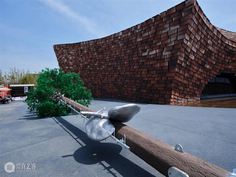 “物中藏信：周啸虎&张移北”展览系列丨观鸟工作坊：流水与雀鸟之声 崇真艺客