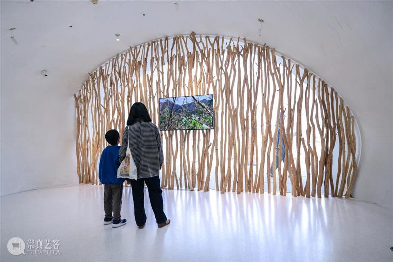 自然物质的当代寓言丨“杨心广：幽暗地表”展览现场 崇真艺客