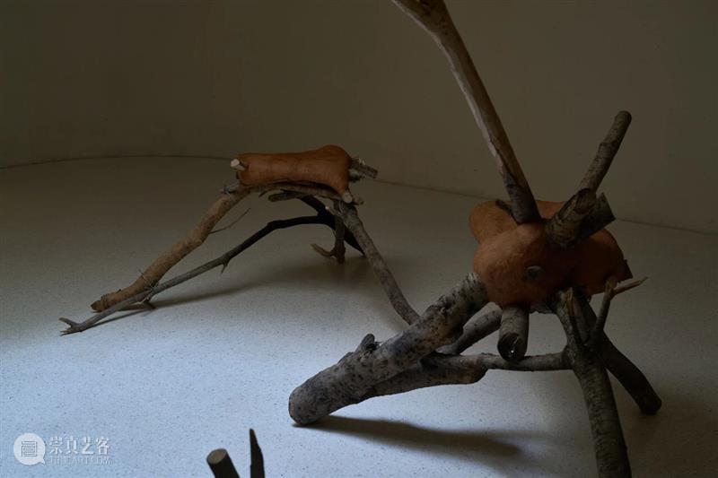 自然物质的当代寓言丨“杨心广：幽暗地表”展览现场 崇真艺客