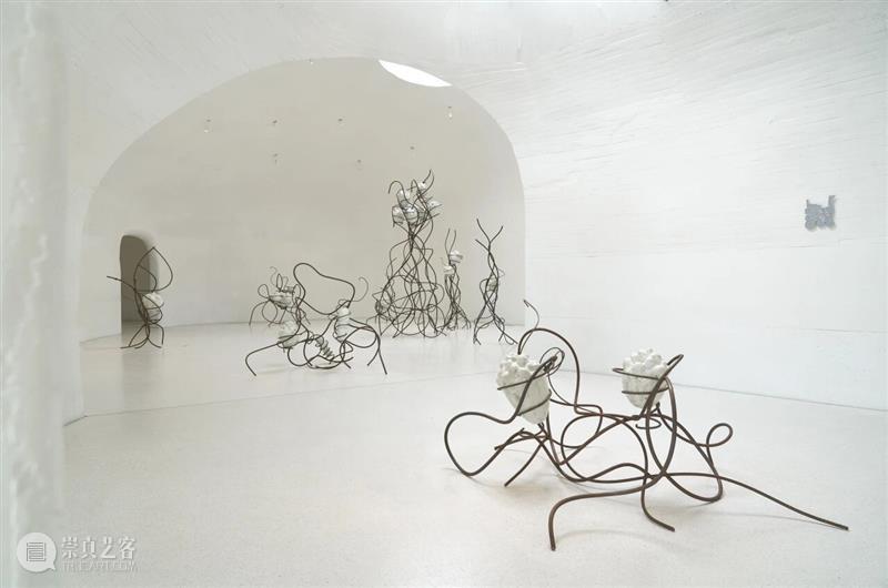 自然物质的当代寓言丨“杨心广：幽暗地表”展览现场 崇真艺客