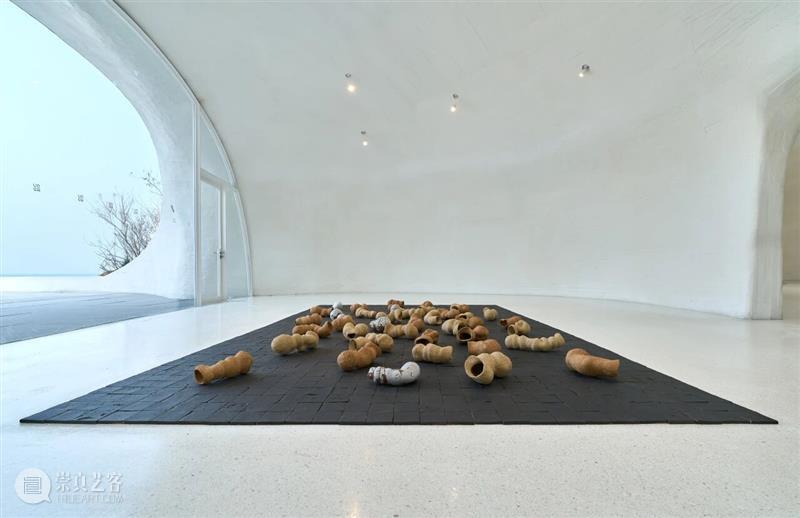 自然物质的当代寓言丨“杨心广：幽暗地表”展览现场 崇真艺客
