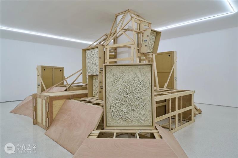 自然物质的当代寓言丨“杨心广：幽暗地表”展览现场 崇真艺客