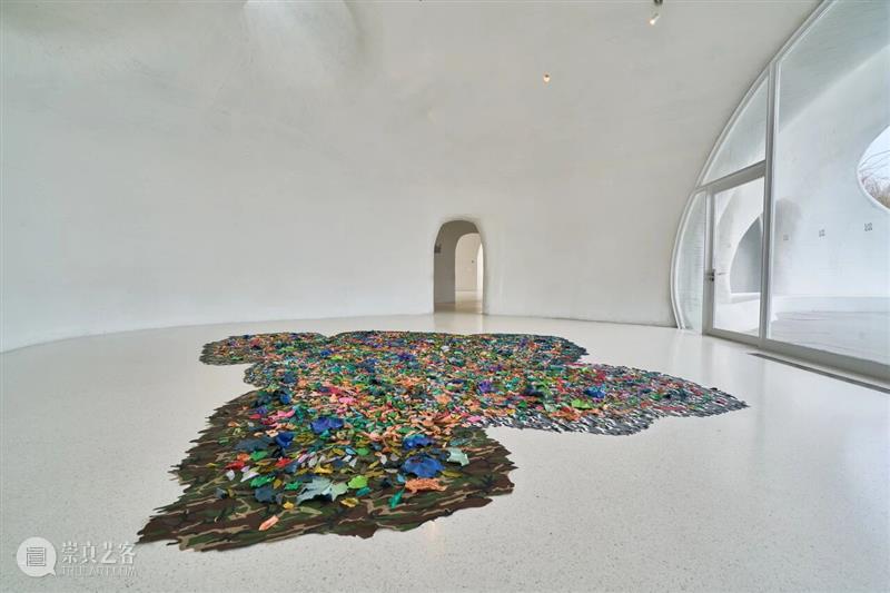 自然物质的当代寓言丨“杨心广：幽暗地表”展览现场 崇真艺客
