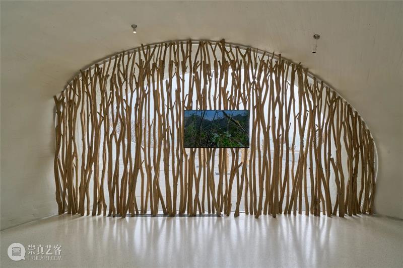 自然物质的当代寓言丨“杨心广：幽暗地表”展览现场 崇真艺客