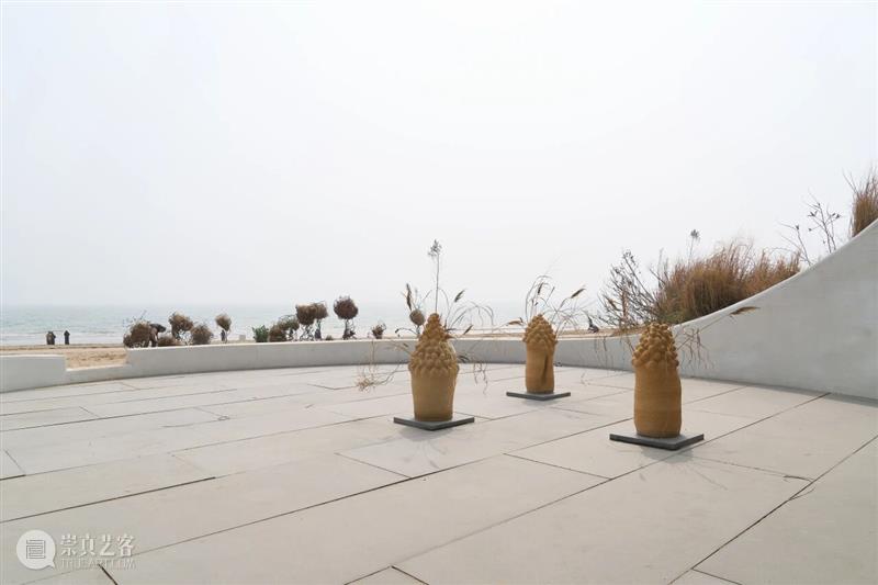 自然物质的当代寓言丨“杨心广：幽暗地表”展览现场 崇真艺客