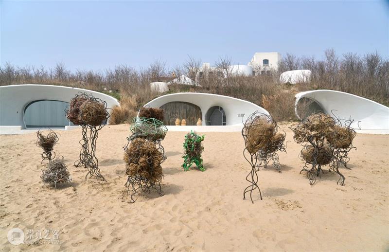 自然物质的当代寓言丨“杨心广：幽暗地表”展览现场 崇真艺客