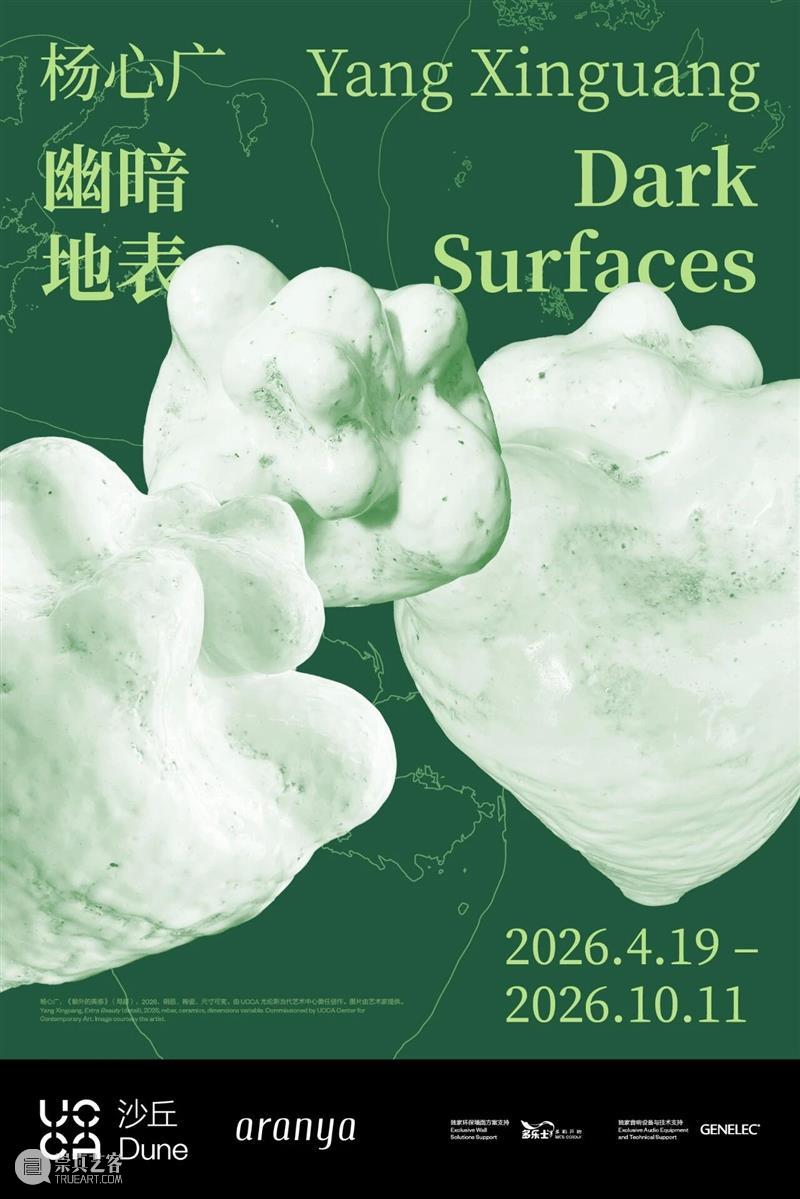 自然物质的当代寓言丨“杨心广：幽暗地表”展览现场 崇真艺客