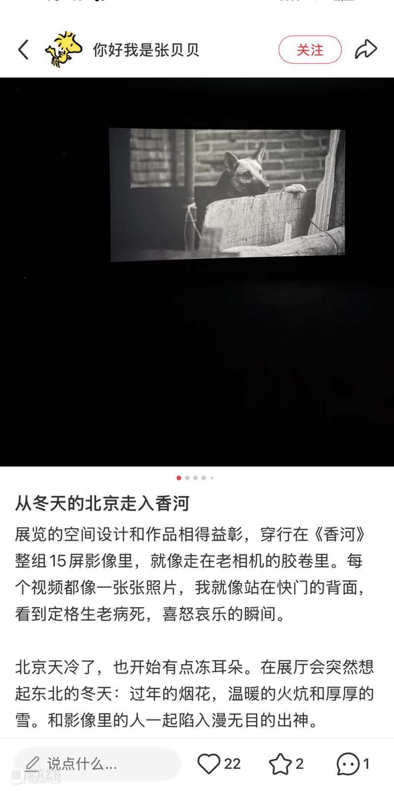 最后15天，共赴时空交错的影像之旅丨观众眼中的“杨福东：香河” 崇真艺客