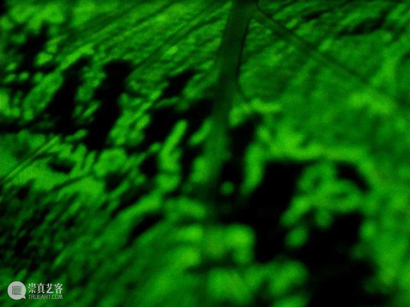 “杨福东：香河”展览系列｜影像艺术交流：映现之地 崇真艺客
