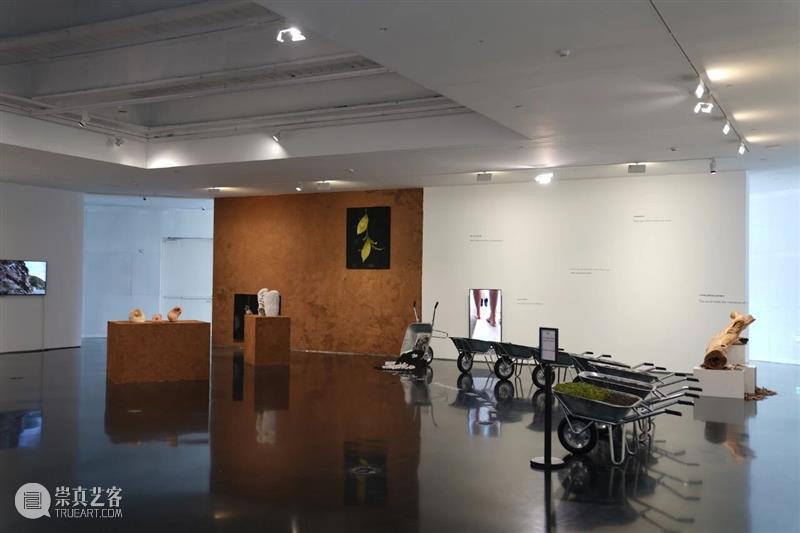TANK 活动|5.18国际博物馆日“踩下去!”展览免费开放! 崇真艺客