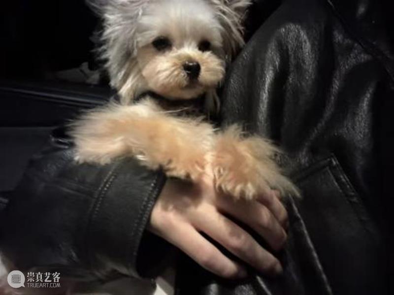 CYE × 唐禹尧：沉默的副本 崇真艺客
