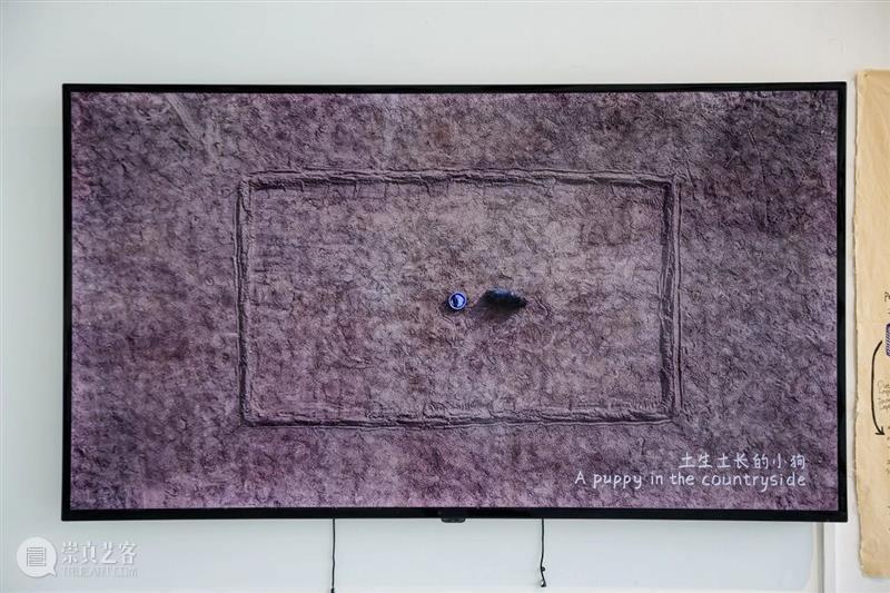 江昶文·LAND CANVAS | 第十三届五粮液『明天雕塑奖』年度公共艺术奖艺术家 崇真艺客