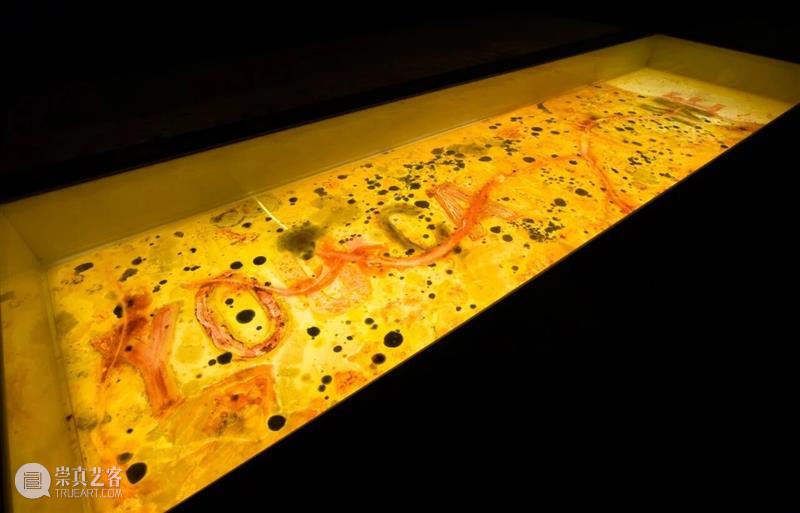展讯｜安妮卡·易首个大型户外项目于Storm King Art Center开幕  Pace&nbsp;Gallery 崇真艺客