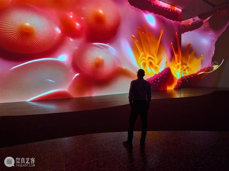 展讯｜安妮卡·易首个大型户外项目于Storm King Art Center开幕  Pace&nbsp;Gallery 崇真艺客