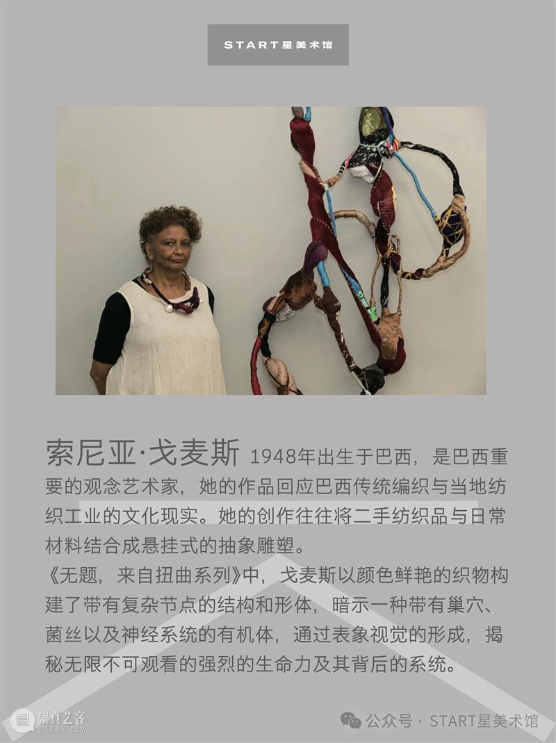 START展览杰作｜索尼亚·戈麦斯 崇真艺客