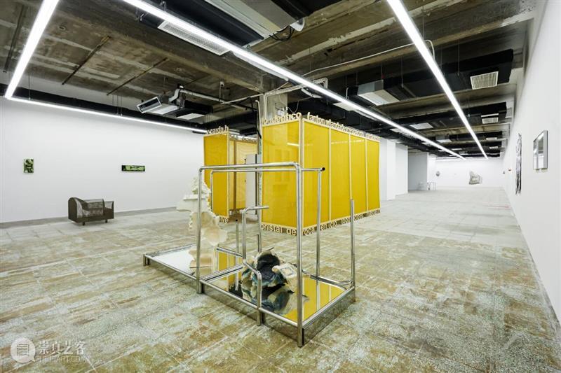 户尔北京画廊周 | 艺访单元特别展览「目光的库存 Inventory of Gazes」 崇真艺客