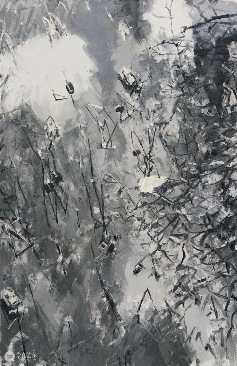 新展 | 葵山——许江艺术展 崇真艺客