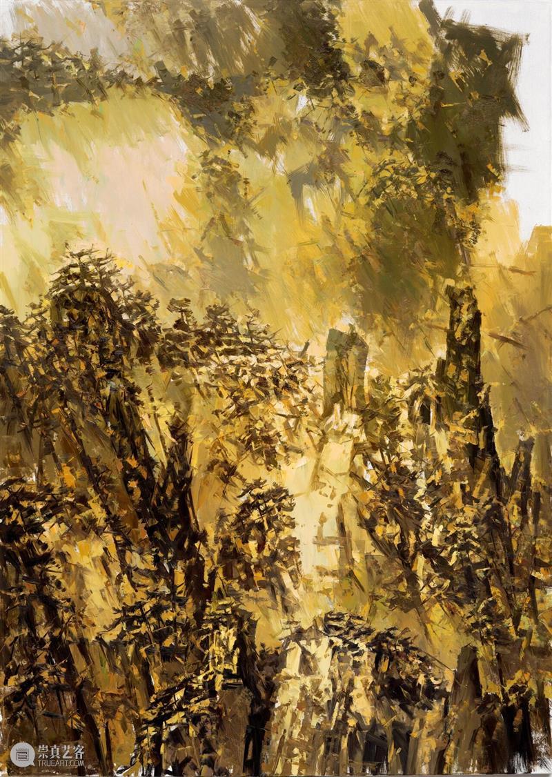 新展 | 葵山——许江艺术展 崇真艺客