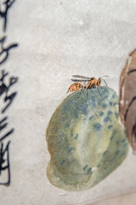 年度大展赏读 | 小小草虫，何以撑起齐白石的“广大”？ 崇真艺客