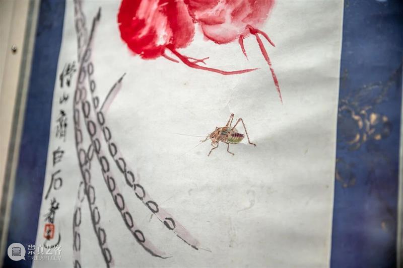 年度大展赏读 | 小小草虫，何以撑起齐白石的“广大”？ 崇真艺客