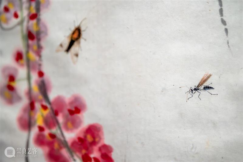 年度大展赏读 | 小小草虫，何以撑起齐白石的“广大”？ 崇真艺客