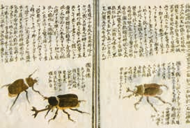 年度大展赏读 | 小小草虫，何以撑起齐白石的“广大”？ 崇真艺客