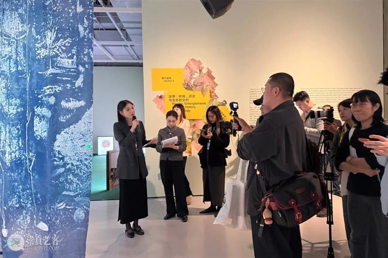 “感知生态学：广州影像三年展2025”圆满闭幕，以影像重构感知，以艺术连接时代 崇真艺客
