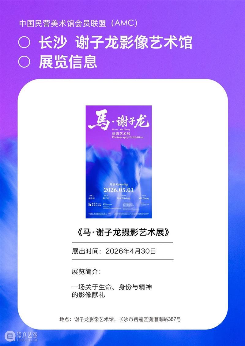 艺术漫游计划 Vol.1｜AMC联盟14馆·2026夏季展讯合集 崇真艺客