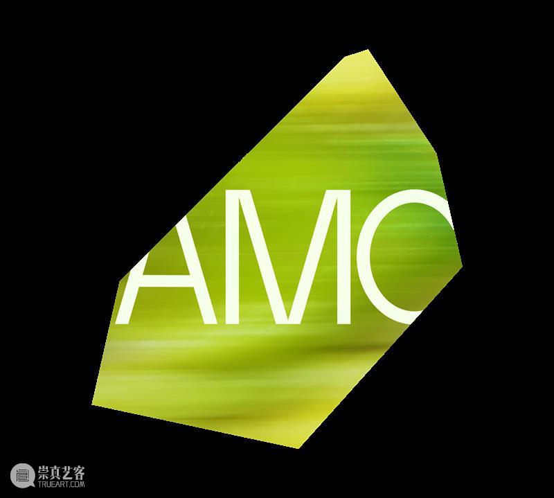 艺术漫游计划 Vol.1｜AMC联盟14馆·2026夏季展讯合集 崇真艺客