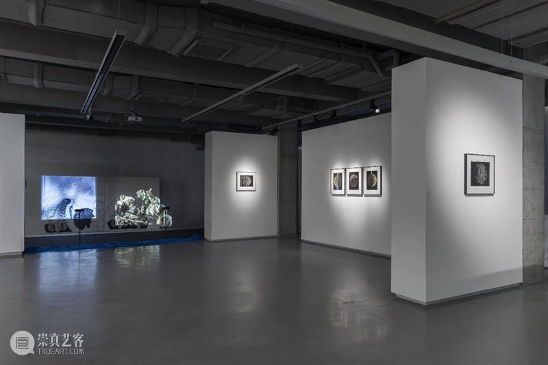【SPURS 艺术家】计洲个展“每一团火在刚点燃时都是一样大小的”正在光社展出 崇真艺客