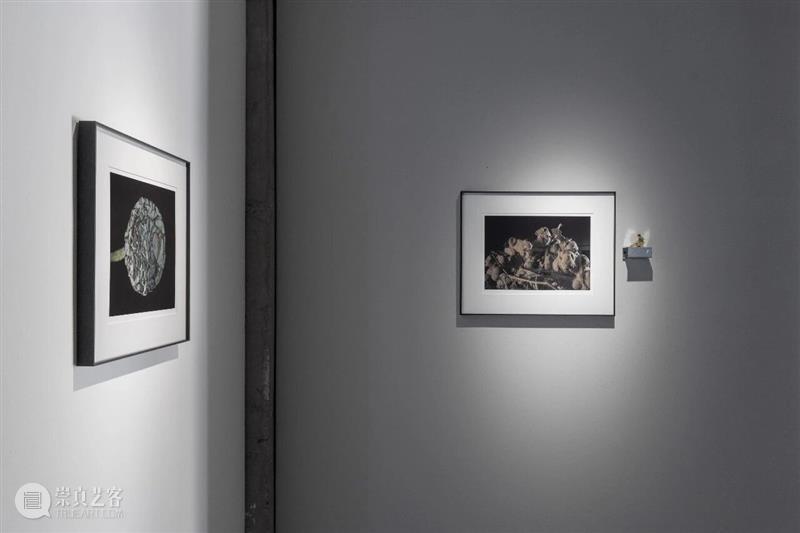【SPURS 艺术家】计洲个展“每一团火在刚点燃时都是一样大小的”正在光社展出 崇真艺客
