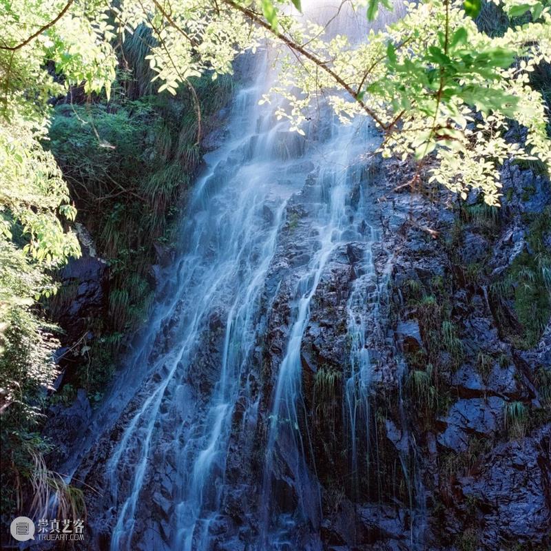独山蛰居 | 韩五洲:姹紫嫣红 崇真艺客