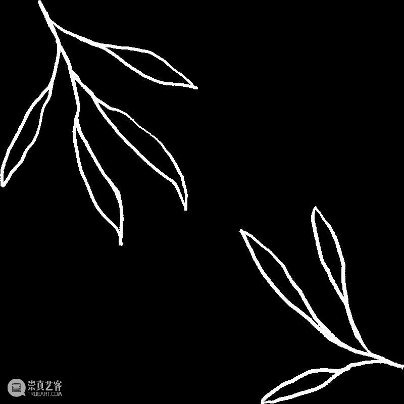 节气 | 芒种 · 黄阿忠《静物·莲蓬》 崇真艺客