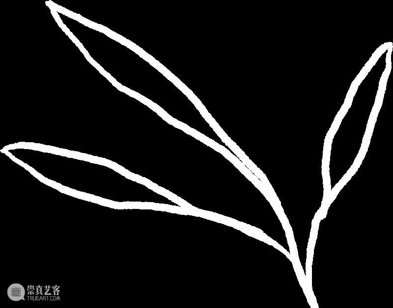 节气 | 芒种 · 黄阿忠《静物·莲蓬》 崇真艺客
