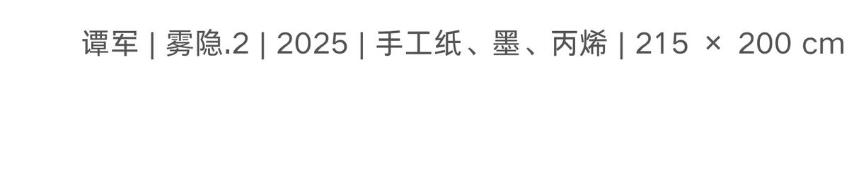 偏锋 访谈 | 谭军：与偏锋的一次对话 崇真艺客