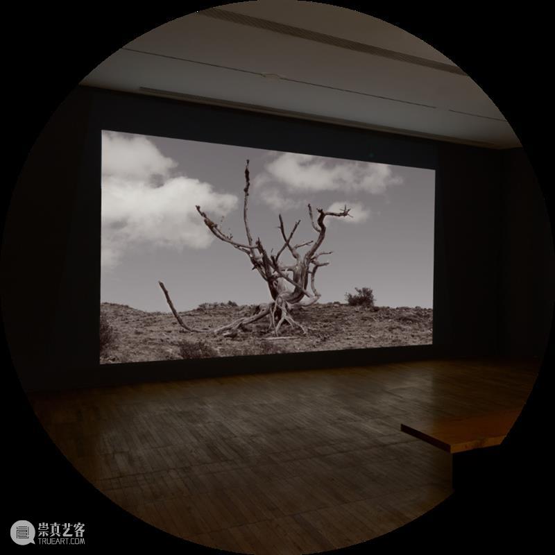 阅读｜群展“取火”：任莉莉，指向生成，也指向消逝 崇真艺客