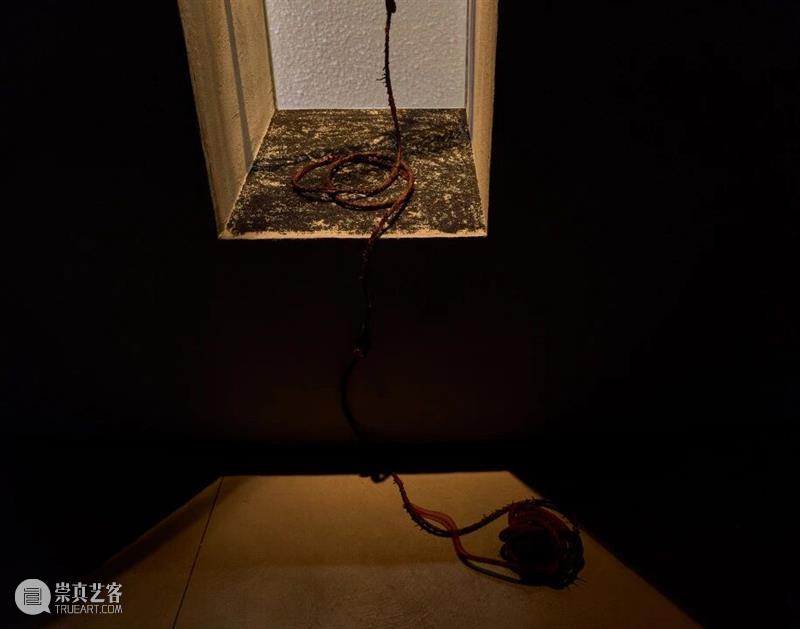 阅读｜群展“取火”：任莉莉，指向生成，也指向消逝 崇真艺客