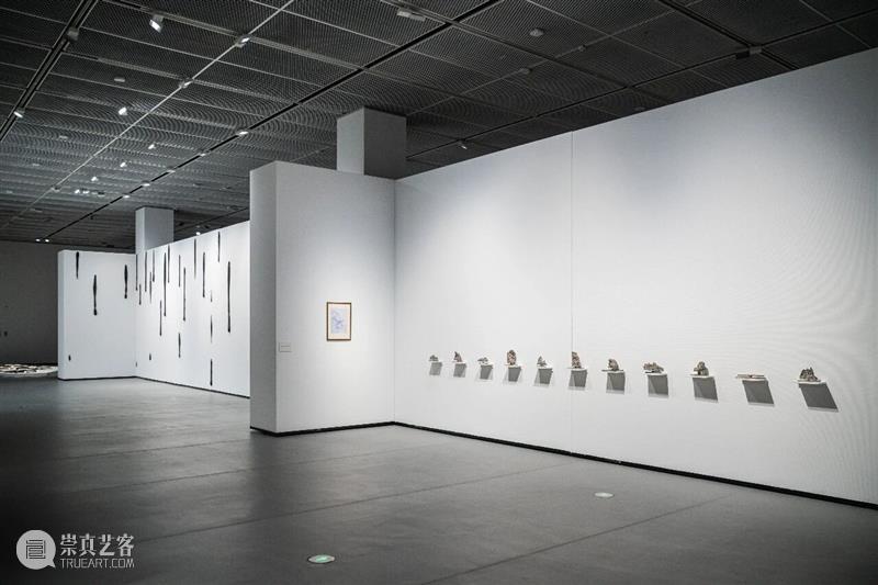 策展人语 | 激荡与回响：一份关于上海百年雕塑的精神图谱 崇真艺客