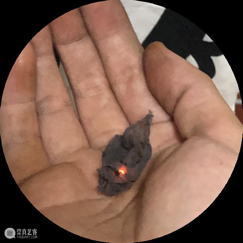 这是展览｜角力：一棵北方的植物在杭州找到了自己也找到了杭州 崇真艺客