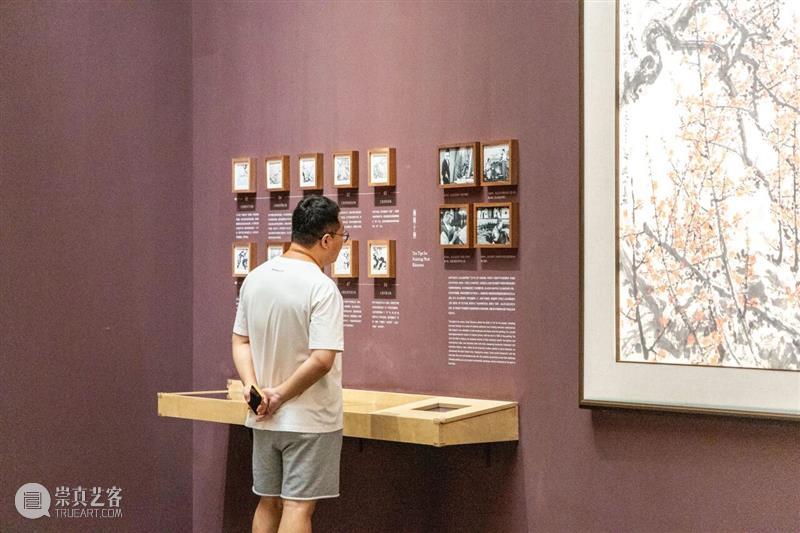年度大展赏读 | 梅枝三转：关山月的梅花，画的是时代还是自己？ 崇真艺客