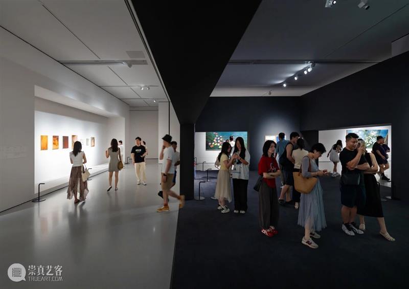 艺术陪你过暑假！广东美术馆7月和8月观展手册 崇真艺客