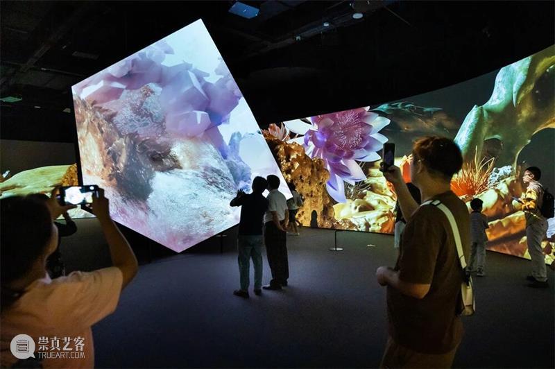 艺术陪你过暑假！广东美术馆7月和8月观展手册 崇真艺客