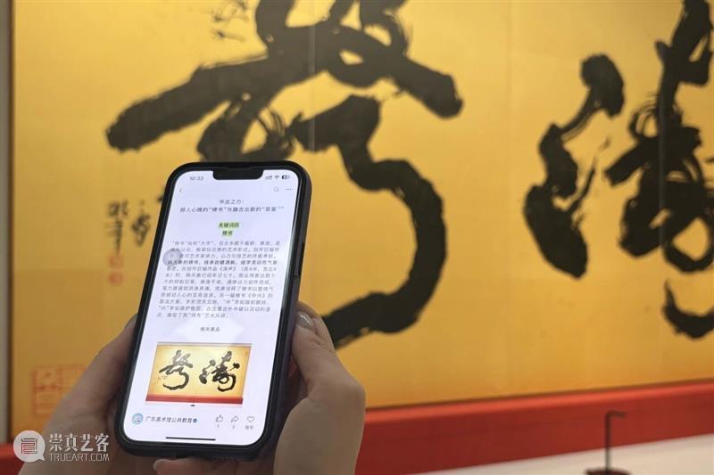 沐露岭南，同频共振：韩天衡艺术回顾展公共教育系列活动回顾 崇真艺客