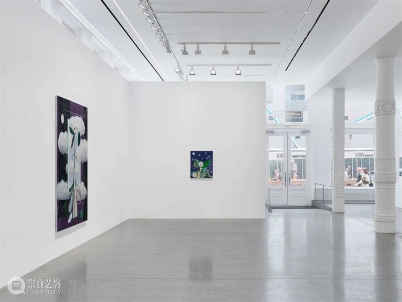 展览现场｜法拉·阿塔斯（Farah Atassi）「变形」@ 阿尔敏·莱希 - 纽约 崇真艺客