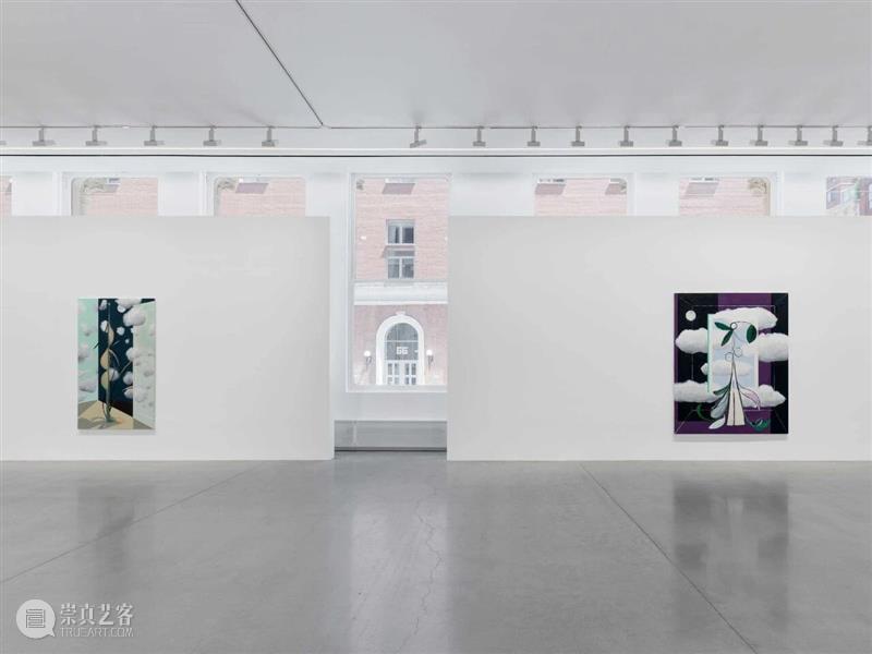 展览现场｜法拉·阿塔斯（Farah Atassi）「变形」@ 阿尔敏·莱希 - 纽约 崇真艺客