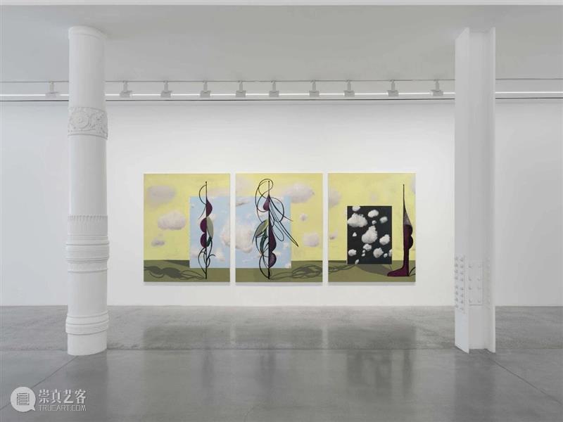 展览现场｜法拉·阿塔斯（Farah Atassi）「变形」@ 阿尔敏·莱希 - 纽约 崇真艺客